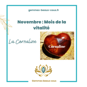 Novembre mois de la vitalité
